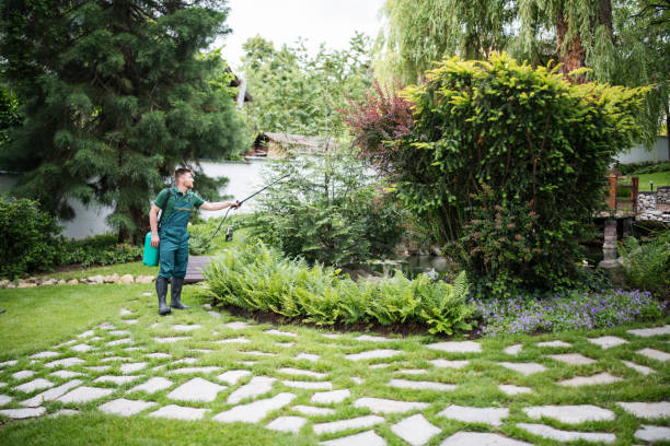 Best Best Pest Control Companies  in Clintonville, WI