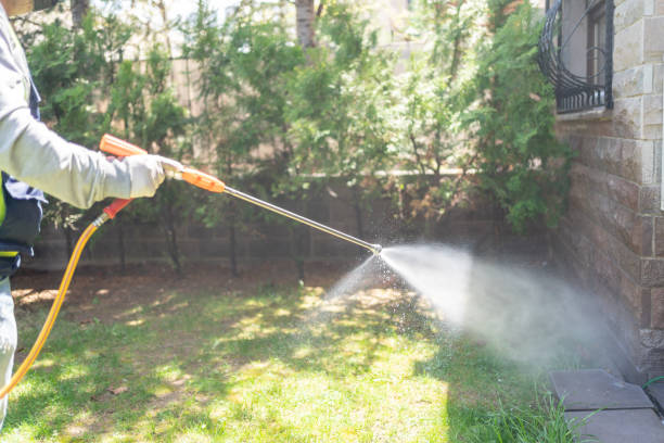 Best Best Pest Control Companies  in Clintonville, WI