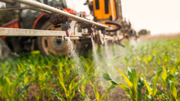 Pest Control Cost in Clintonville, WI
